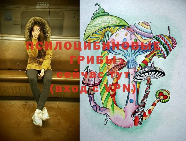гашик Кинешма