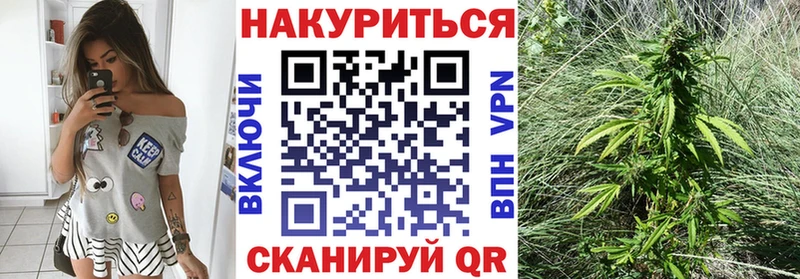 OMG tor  Гусиноозёрск  Конопля планчик 